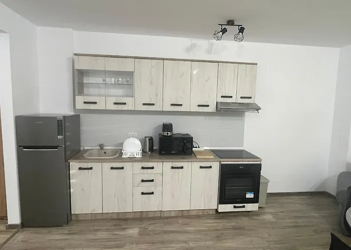 Rasarit La Epava * קוסטינסטי