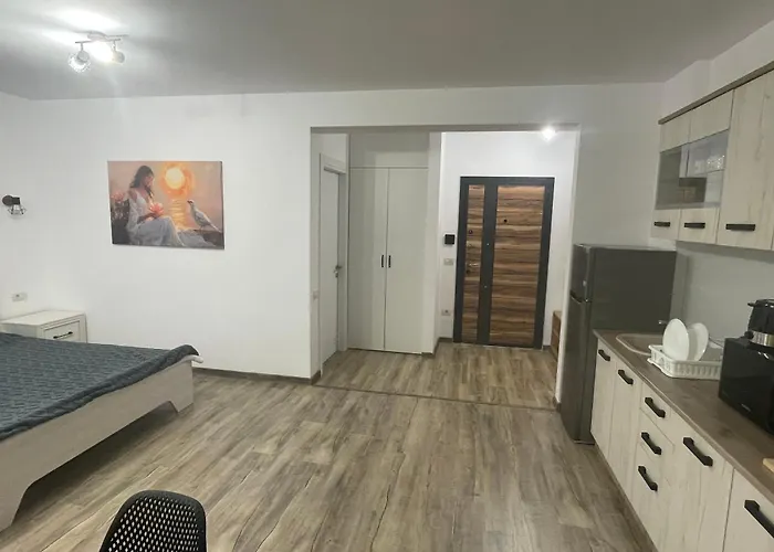 דירה Rasarit La Epava *